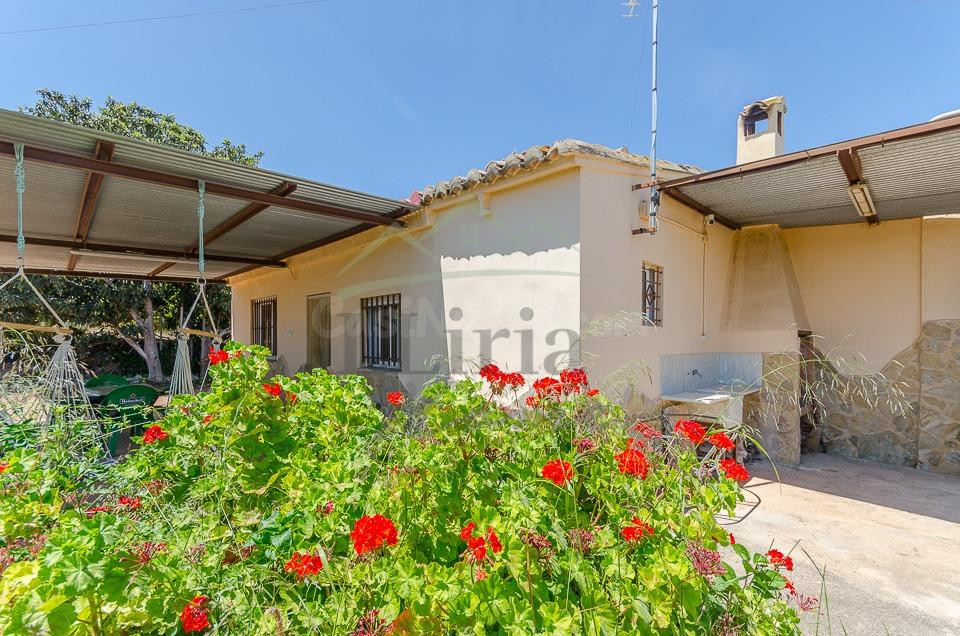 Ref. 04370.- Finca agrícola de 31.000 m2 con explotación de  - foto 5