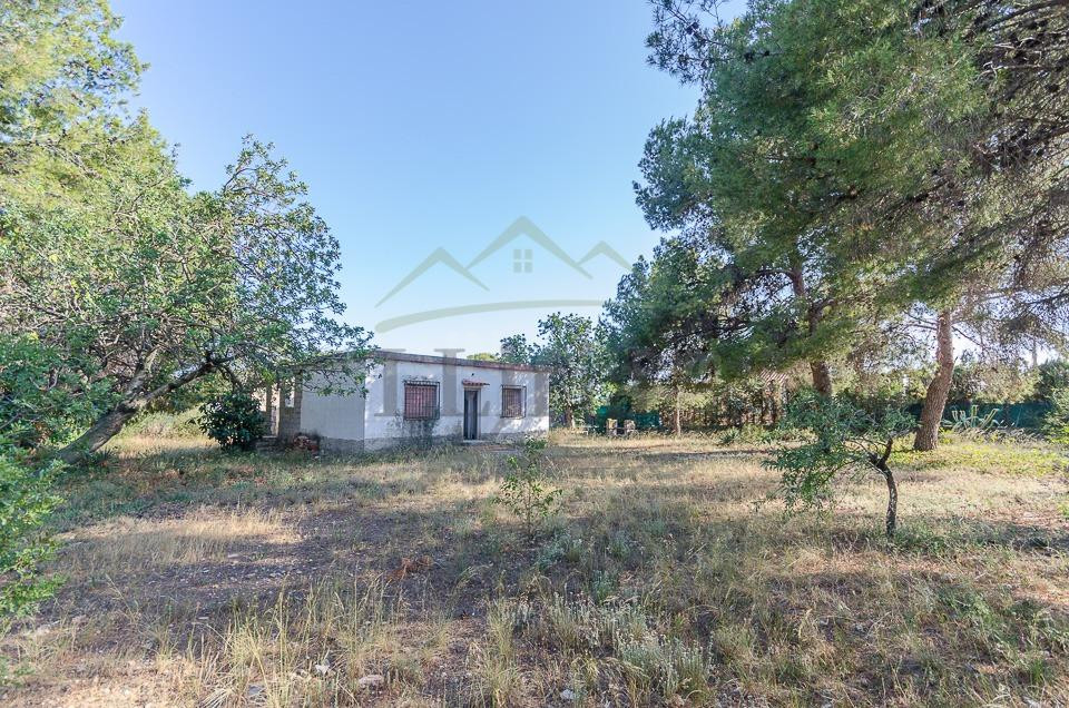 Ref. 04375- EXCLUSIVA- Chalet con múltiples posibilidades en - foto 3
