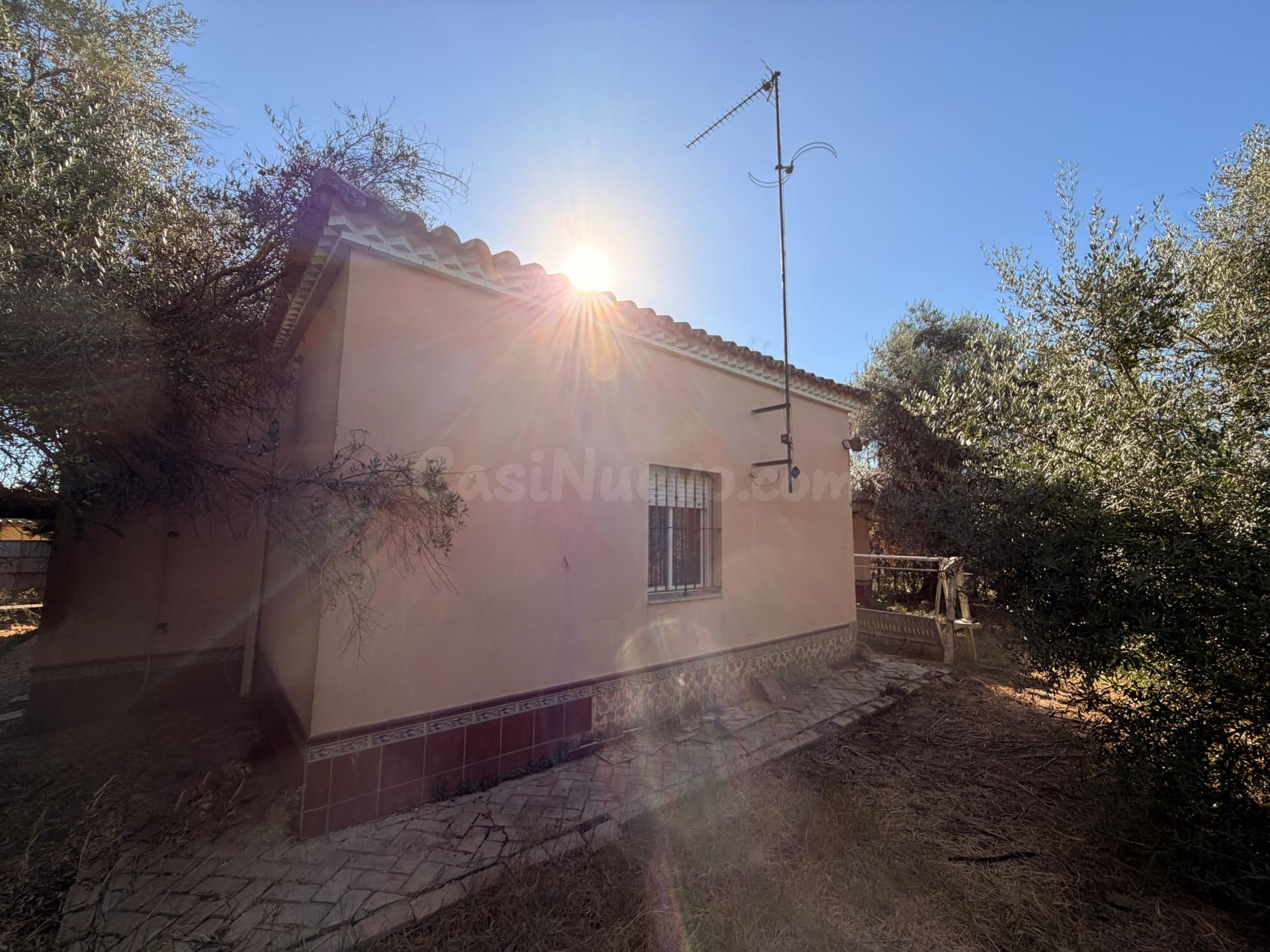 Chalet independiente en una sola planta con 940 m2 de parcel - foto 2