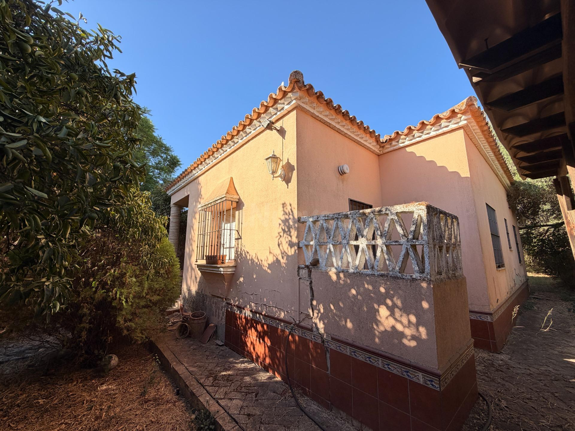 Chalet independiente en una sola planta con 940 m2 de parcel - foto 4