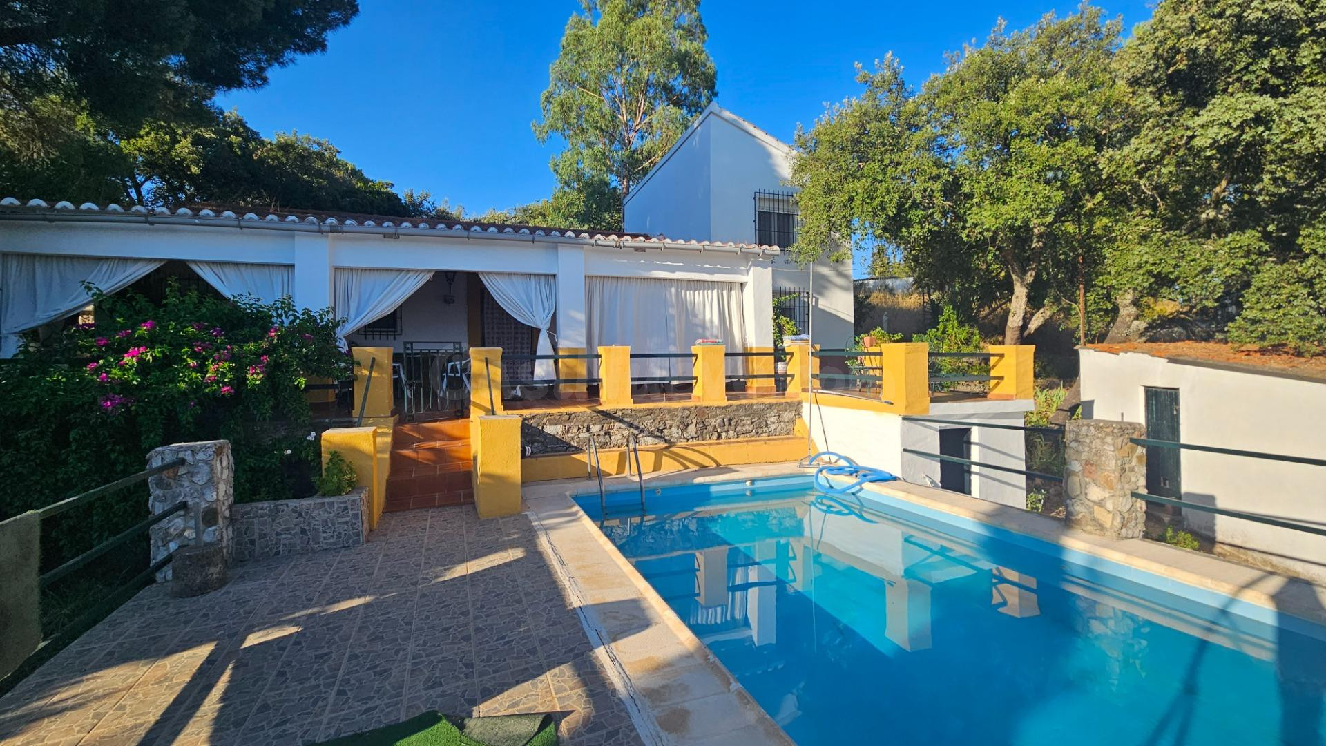 Chalet independiente en Siete Fincas: 3.000 m2 de parcela, p