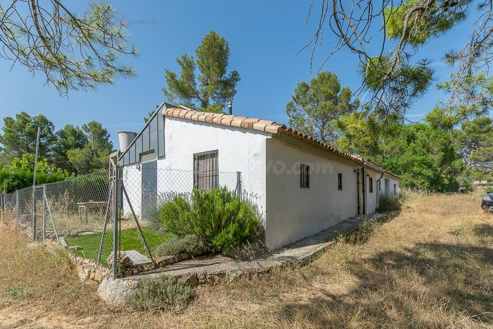 Ref. 04381.- EXCLUSIVA- Chalet reformado en plena naturaleza - foto 4