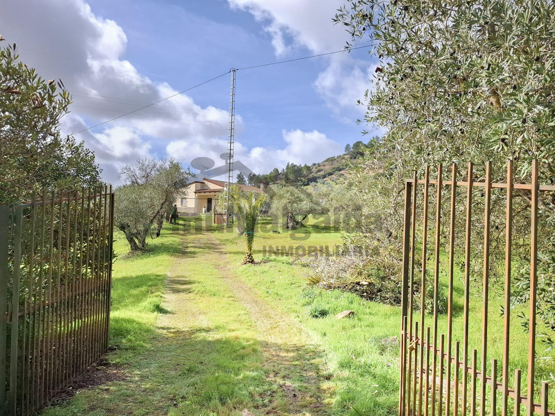CHALET RUSTICO EN ALGODONALES - foto 3