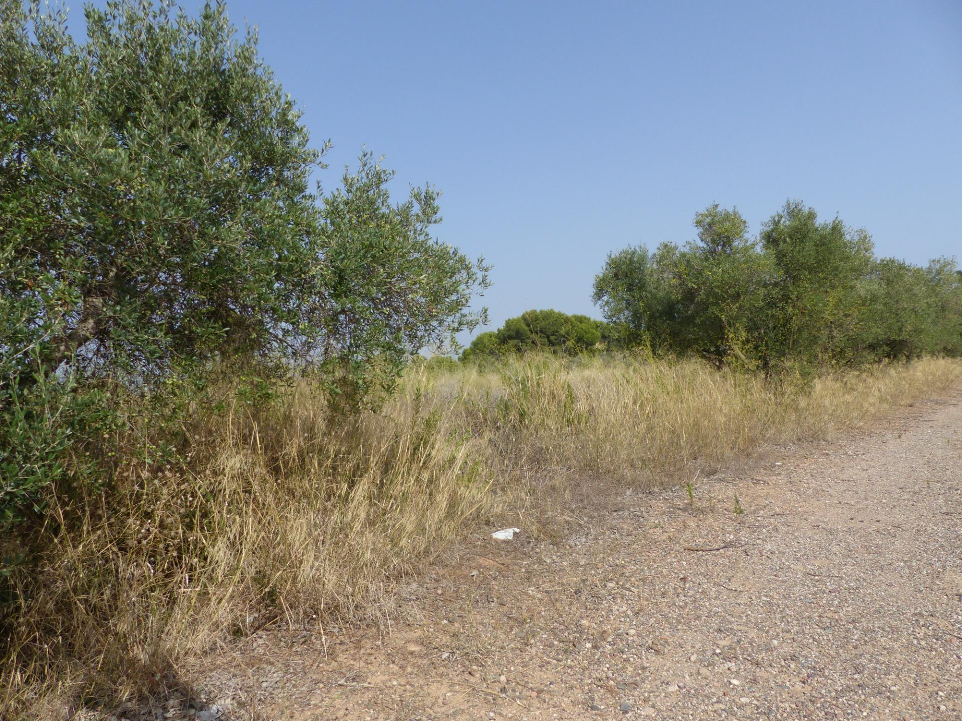 Terreno en venta en la zona de Aigüesverds, Reus - foto 3