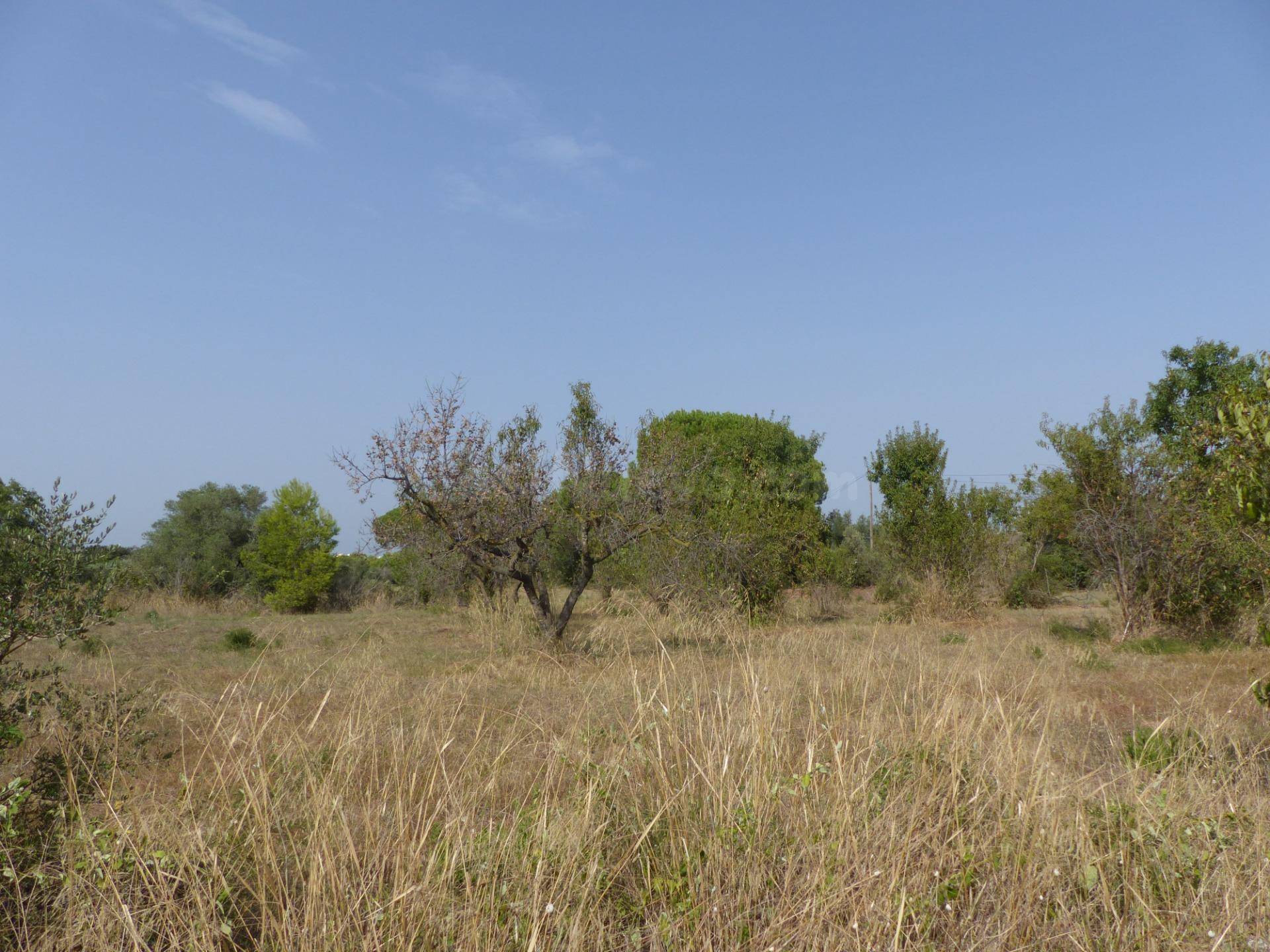 Terreno en venta en la zona de Aigüesverds, Reus - foto 4