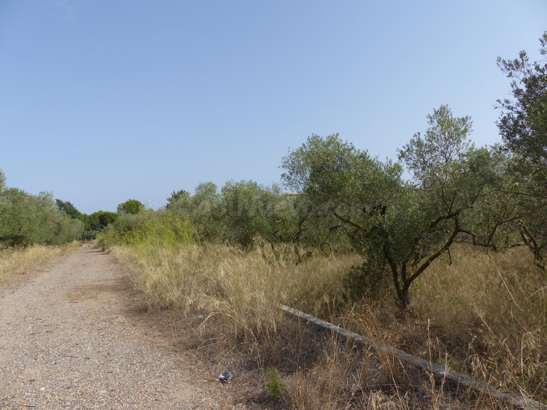 Terreno en venta en la zona de Aigüesverds, Reus - foto 5