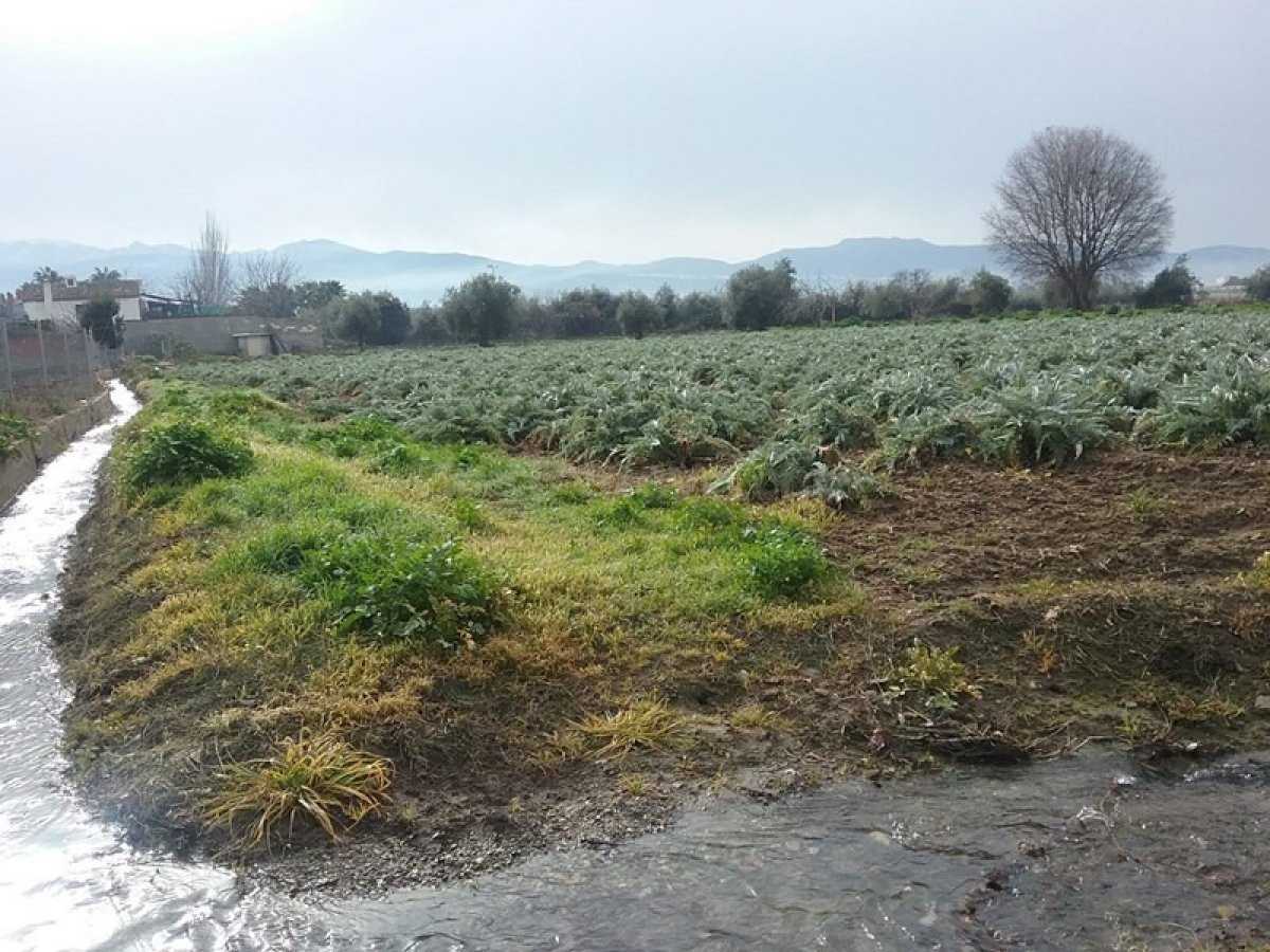 OportUnidad Finca Rústica Pago del Zaidín!!! - foto 3