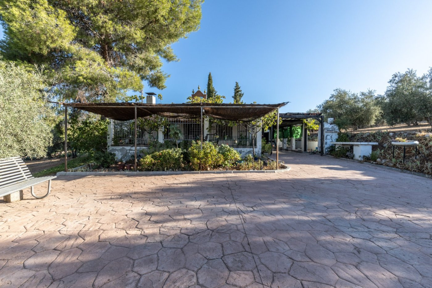FINCA RÚSTICA CON PISCINA Y 17.000 M2 A 20 MINUTOS DE GRANAD