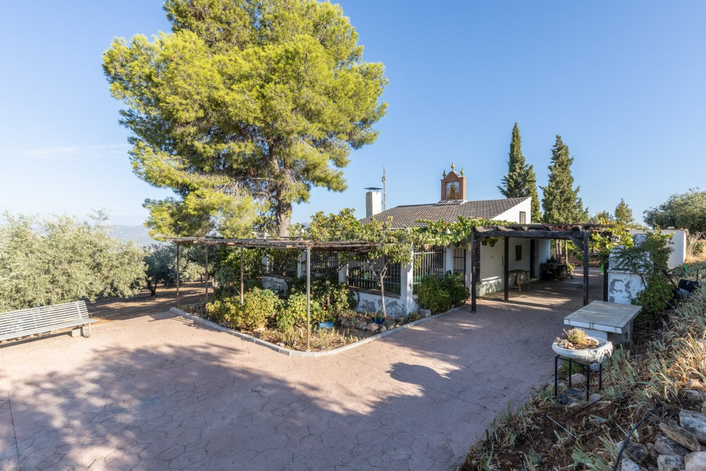 FINCA RÚSTICA CON PISCINA Y 17.000 M2 A 20 MINUTOS DE GRANAD - foto 2