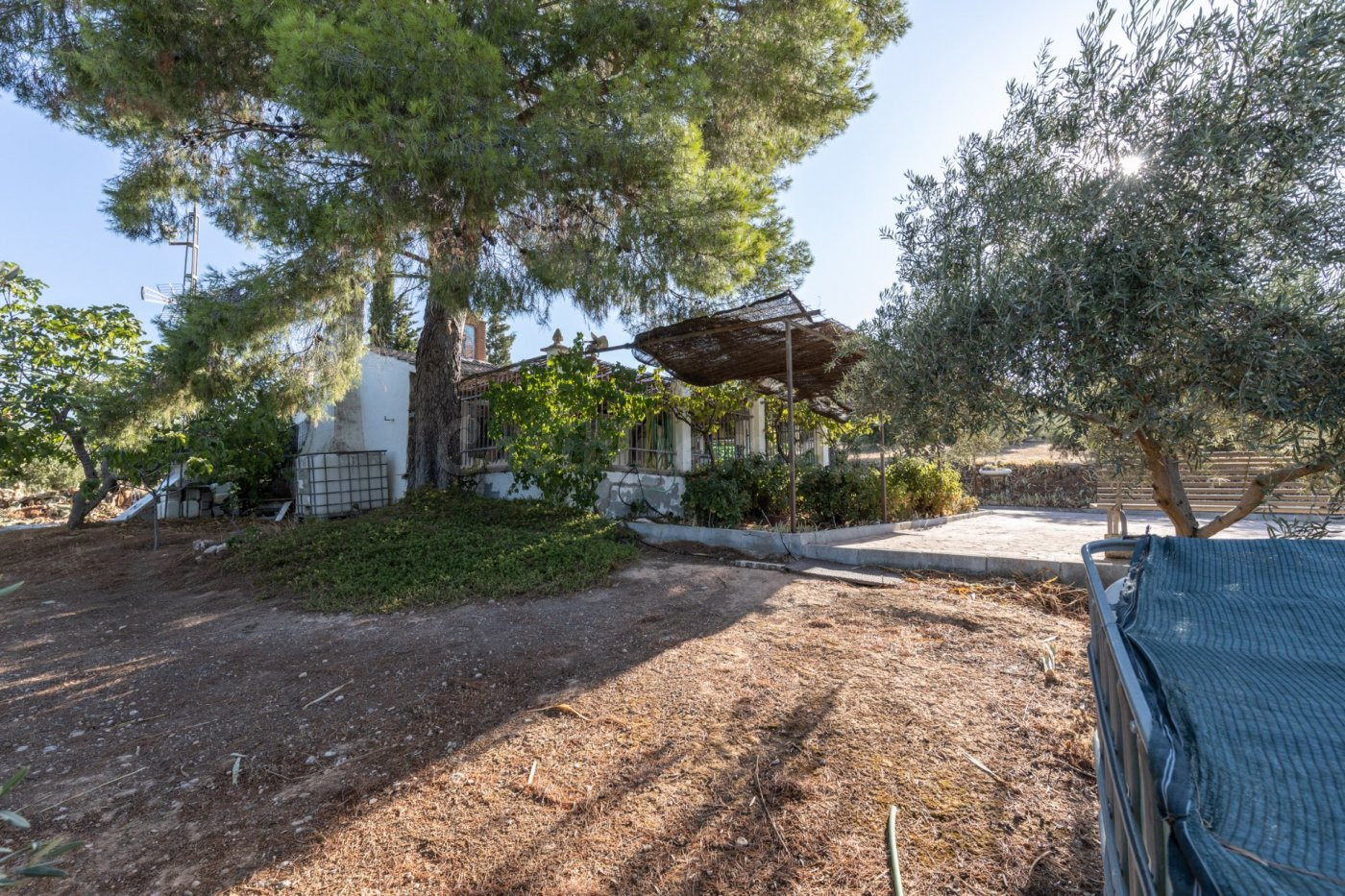 FINCA RÚSTICA CON PISCINA Y 17.000 M2 A 20 MINUTOS DE GRANAD - foto 3