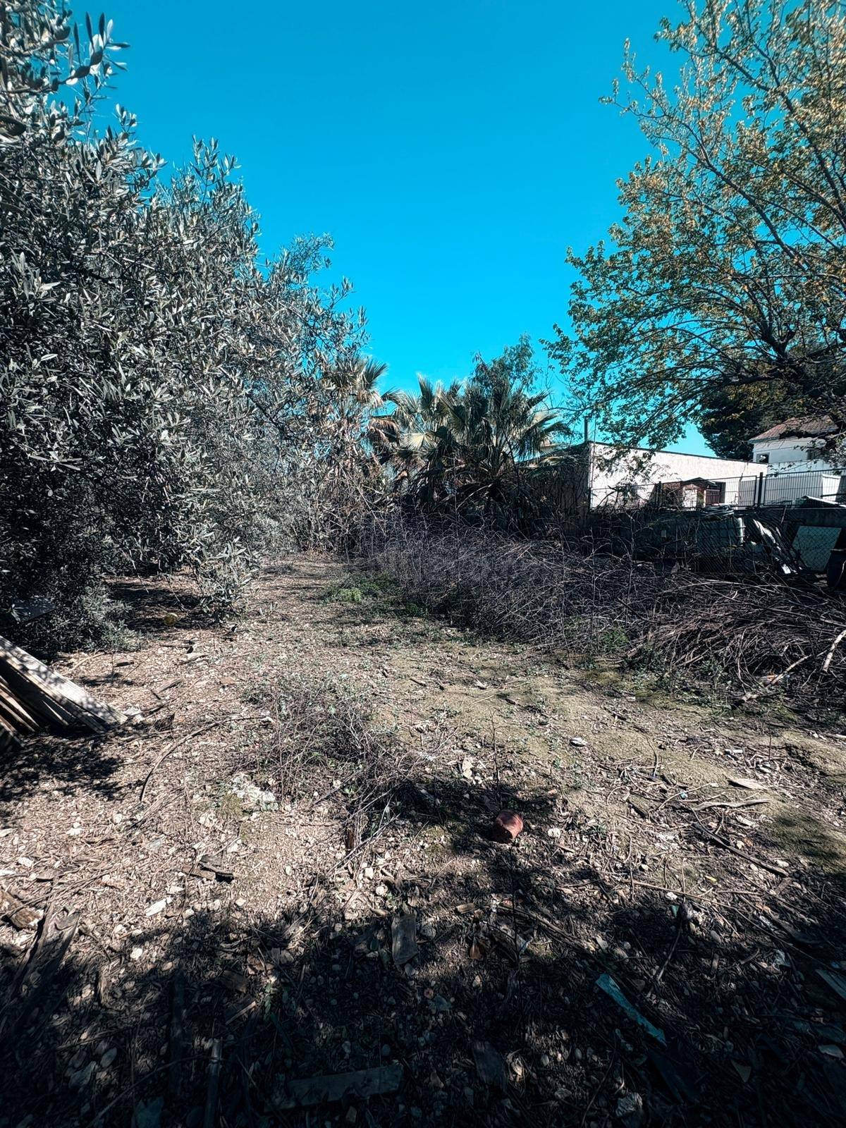 TERRENO RUSTICO DE 454m2 - foto 2