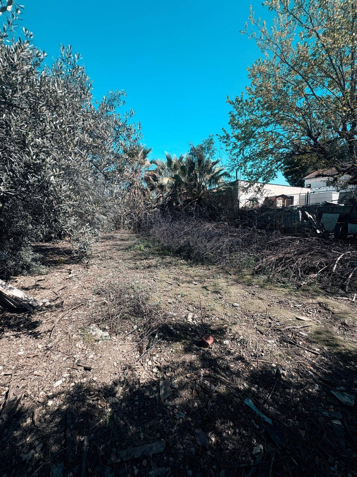 TERRENO RUSTICO DE 454m2 - foto 3