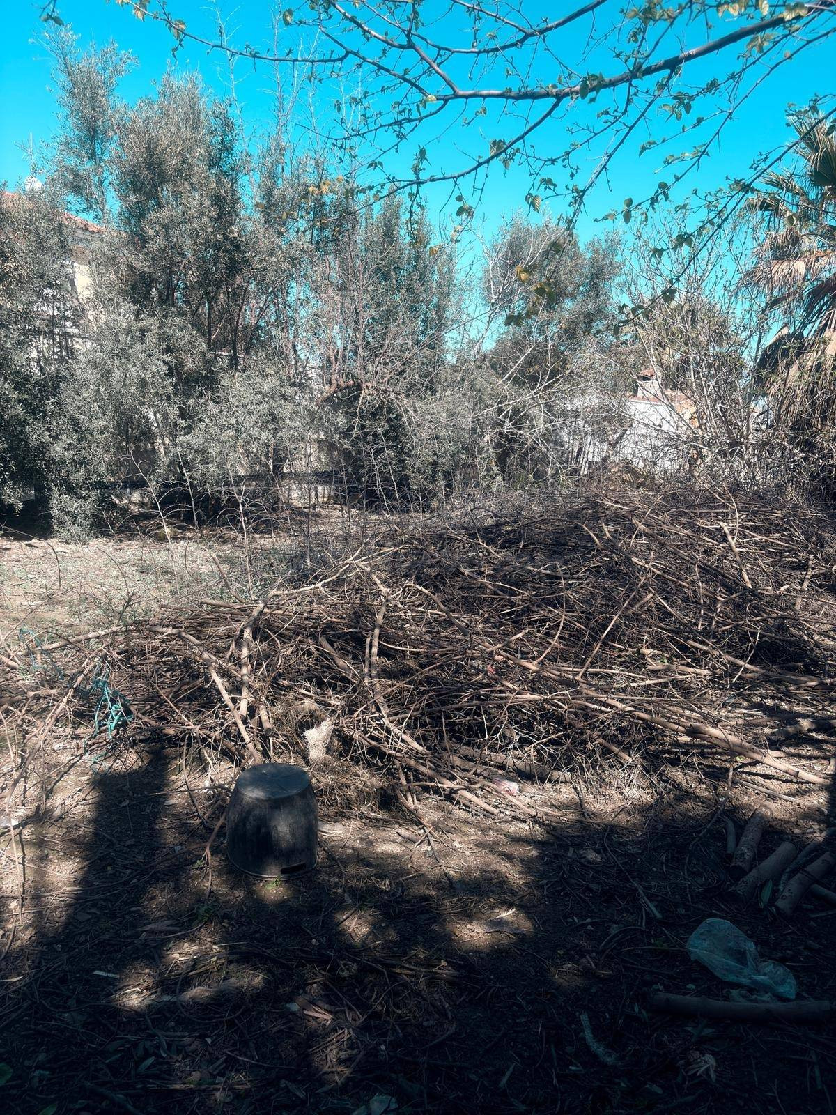 TERRENO RUSTICO DE 454m2 - foto 5