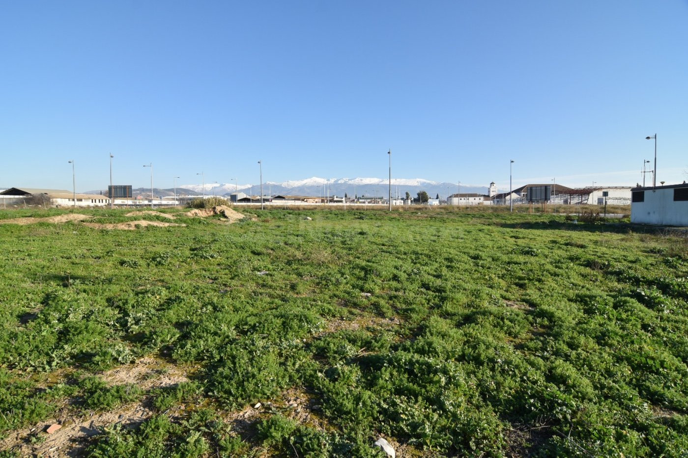 en venta parcela industrial en Cortijo del Conde - foto 5