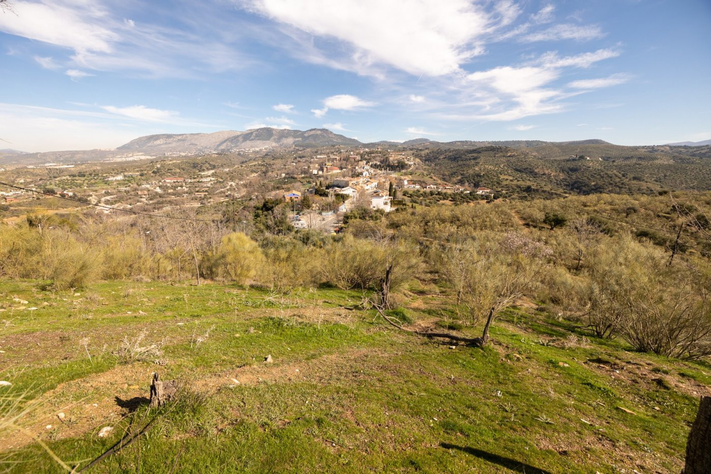 A LA VENTA FINCA RÚSTICA EN EL FARGUE