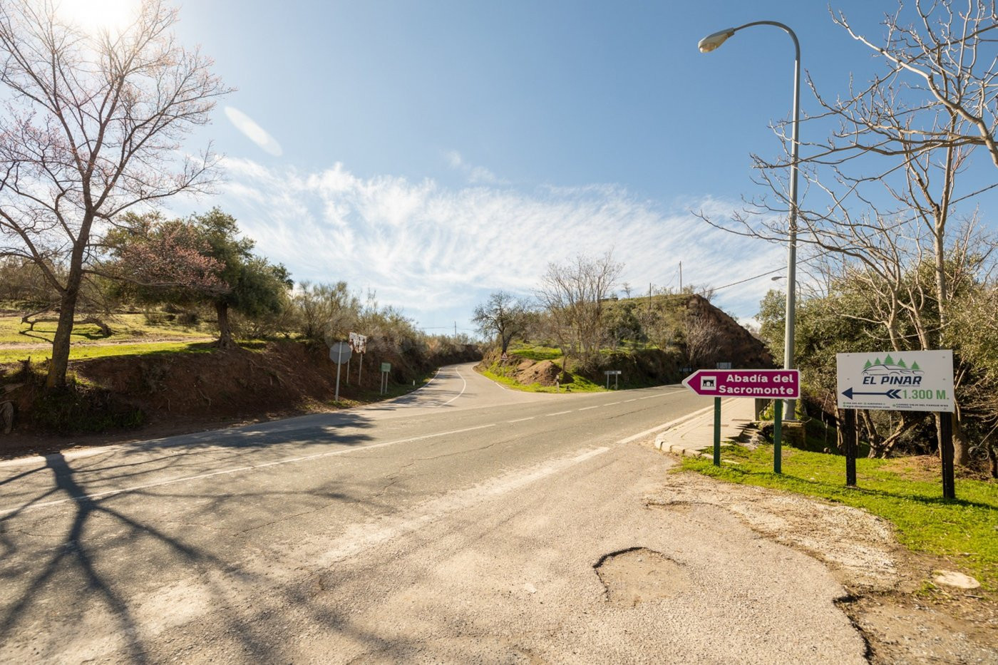 A LA VENTA FINCA RÚSTICA EN EL FARGUE - foto 5