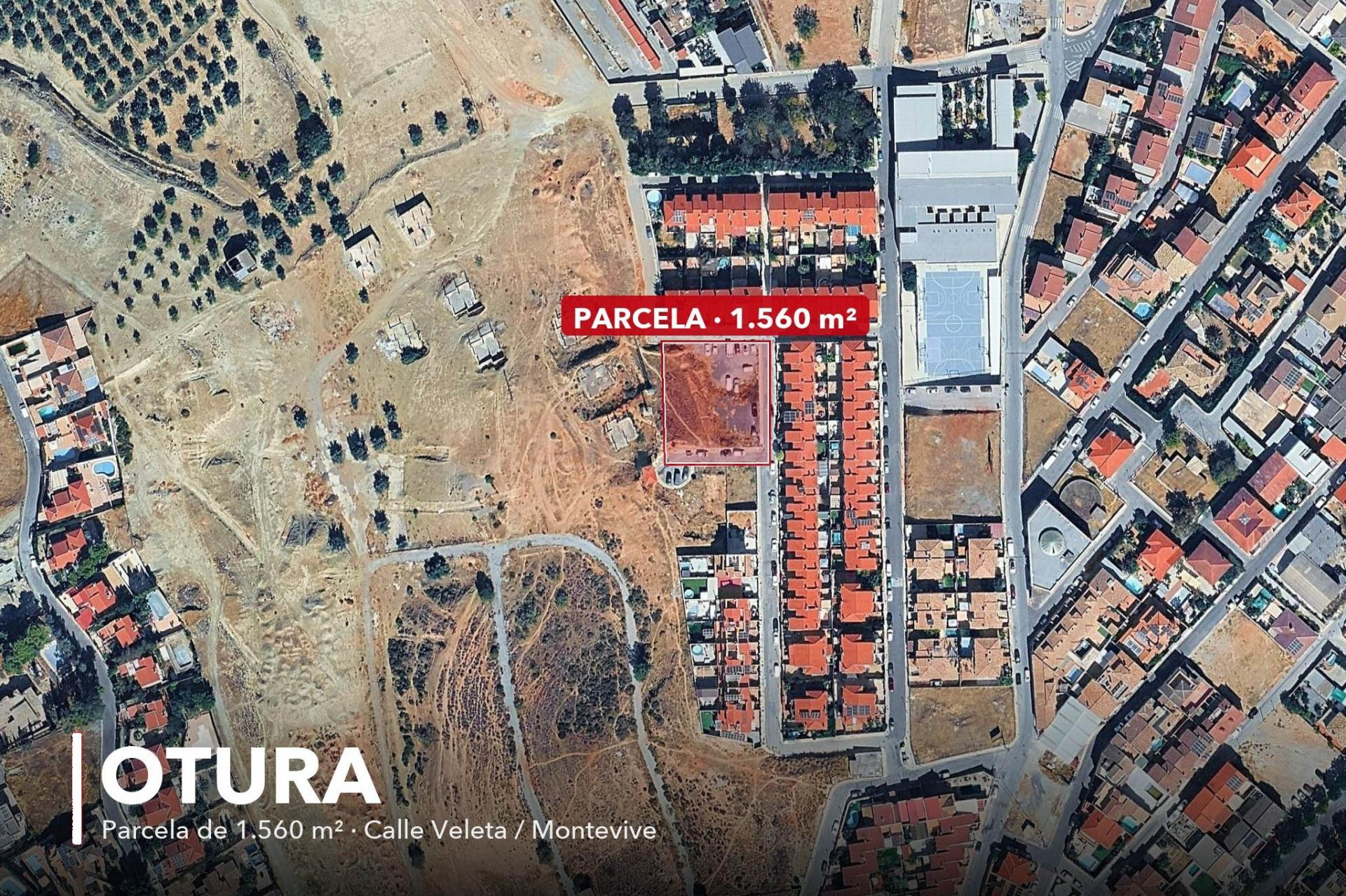 Oportunidad Única - foto 3