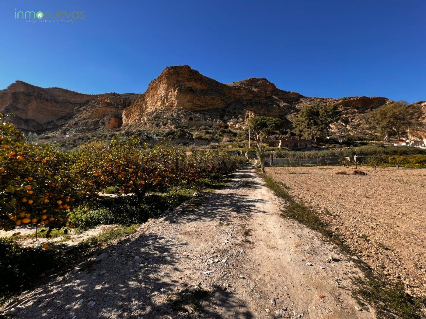 Finca de Recreo - foto 2