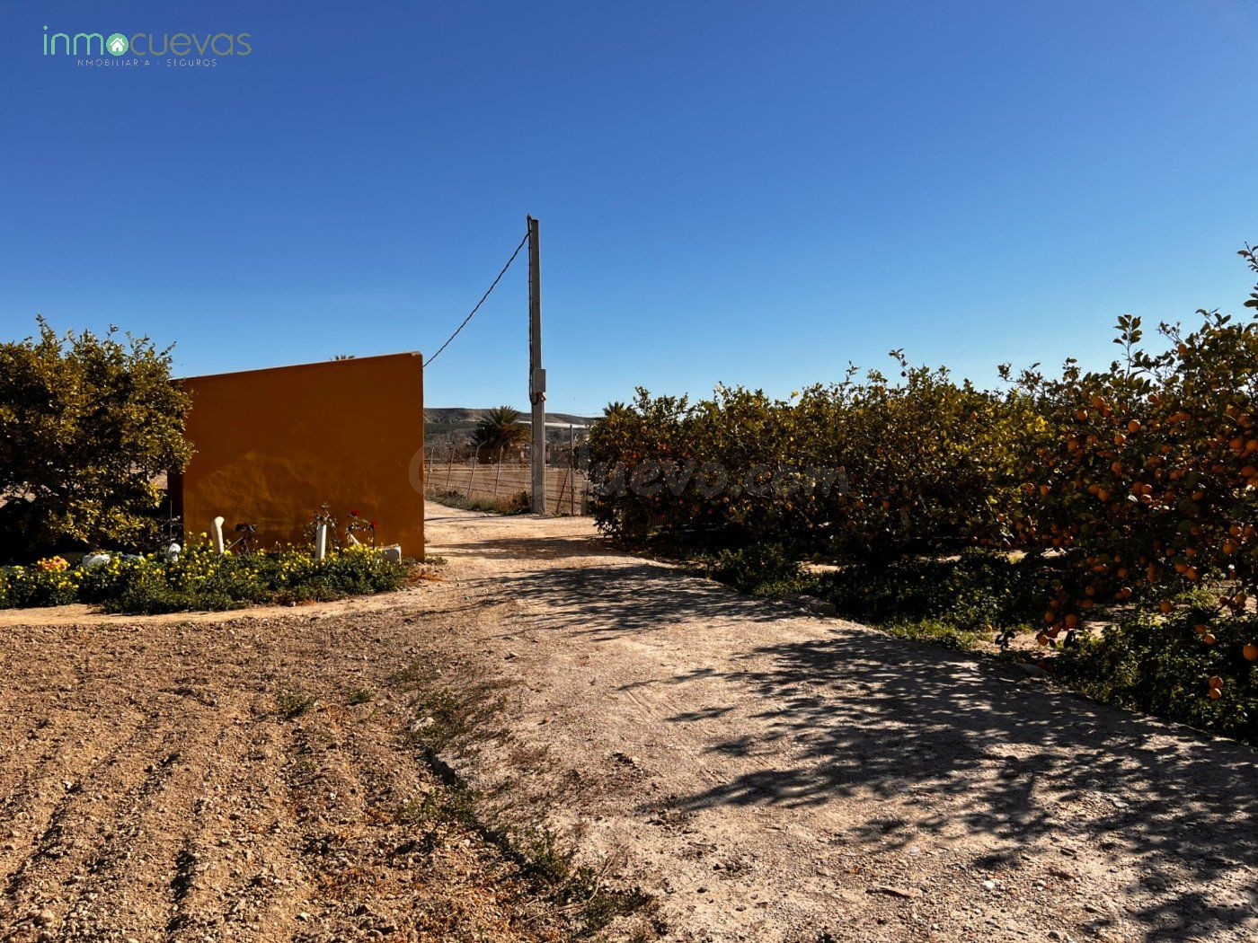 Finca de Recreo - foto 3