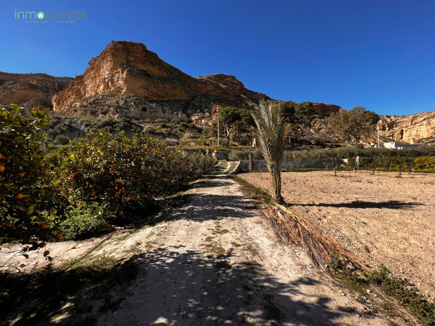 Finca de Recreo - foto 4