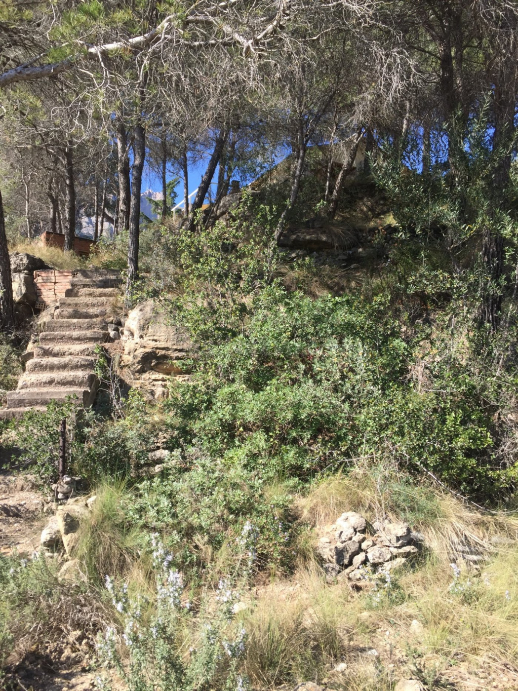 PARCELA EN VENTA EN MONISTROL DE MONTSERRAT - foto 3