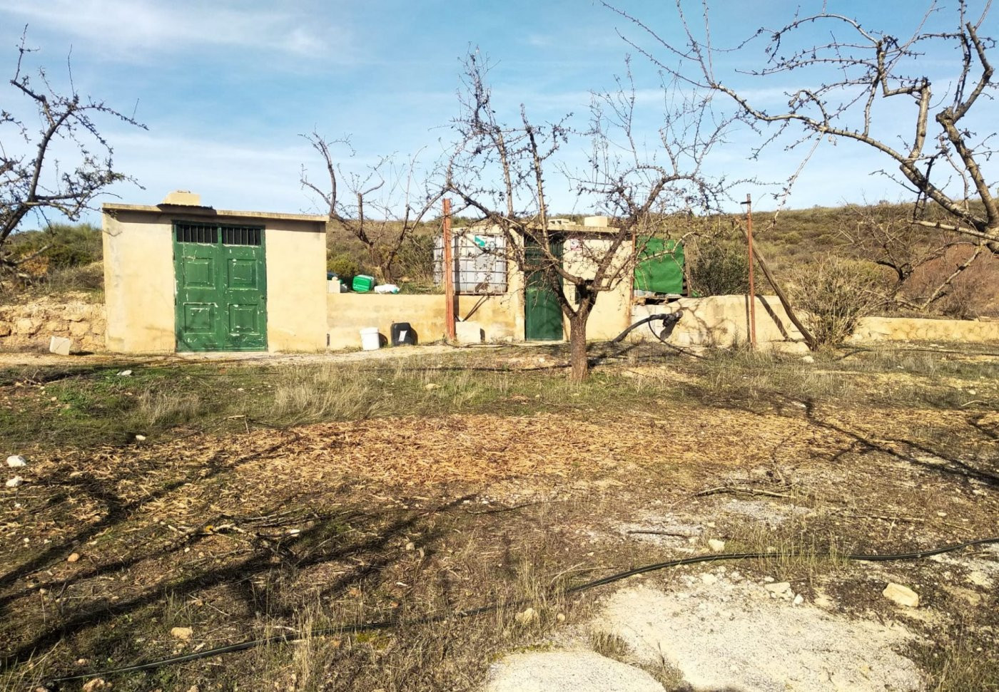 FINCA RÚSTICA 110.000 M2 CON PRODUCCIÓN EN PADUL - foto 2