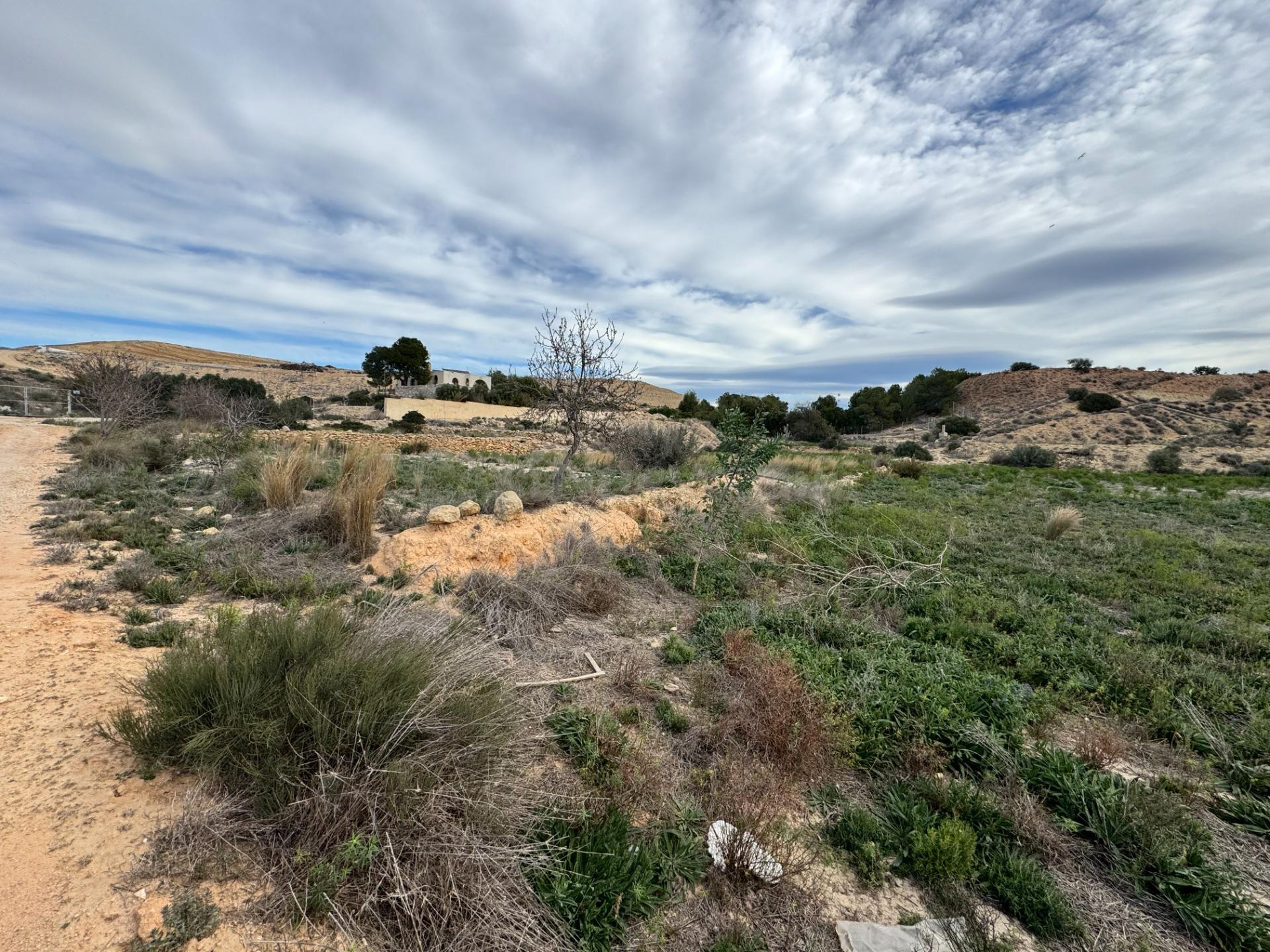 FINCA RUSTICA DE 23000M2 DONDE SE PUEDE EDIFICAR UNA CASA DE