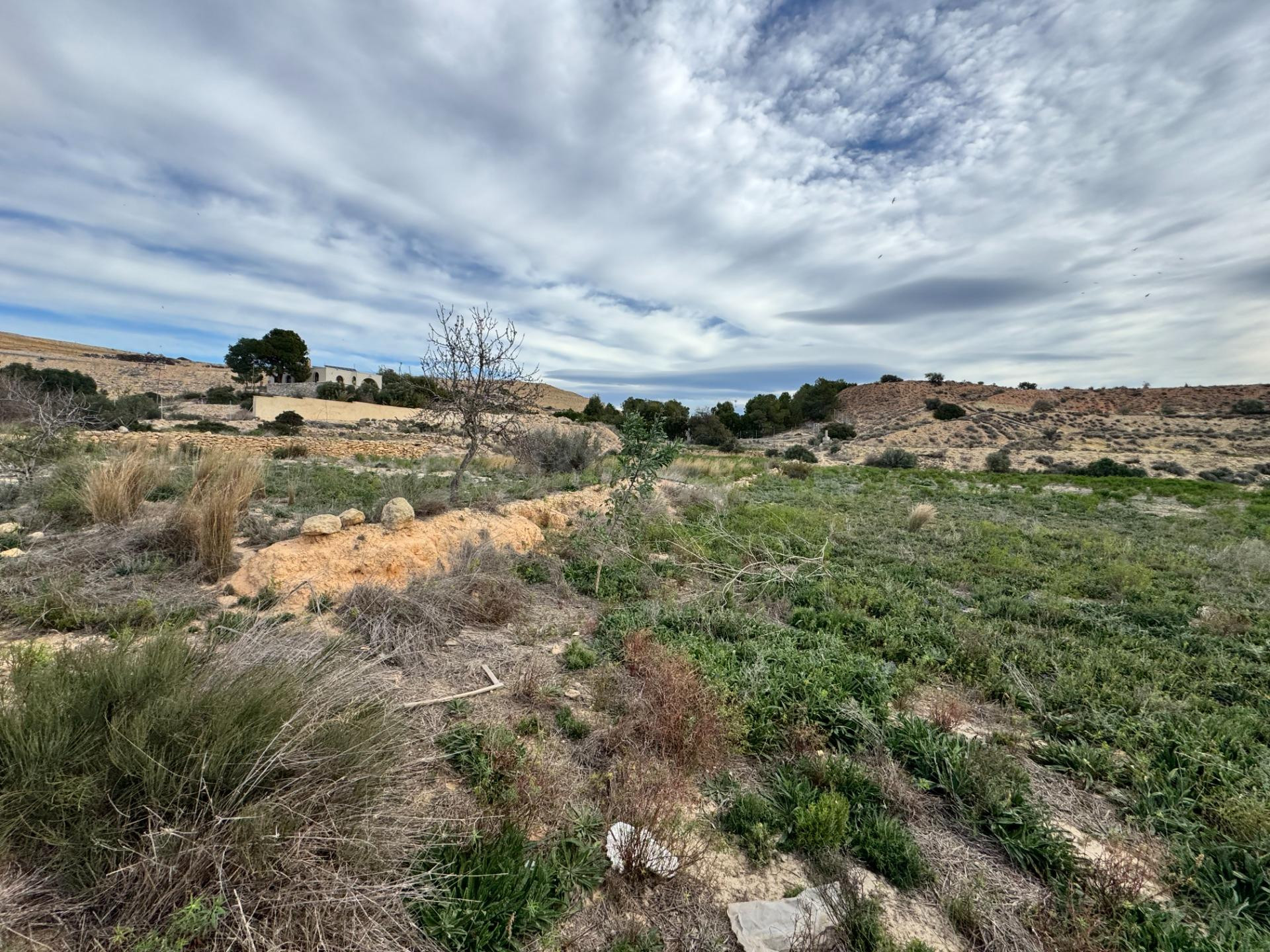 FINCA RUSTICA DE 23000M2 DONDE SE PUEDE EDIFICAR UNA CASA DE - foto 2