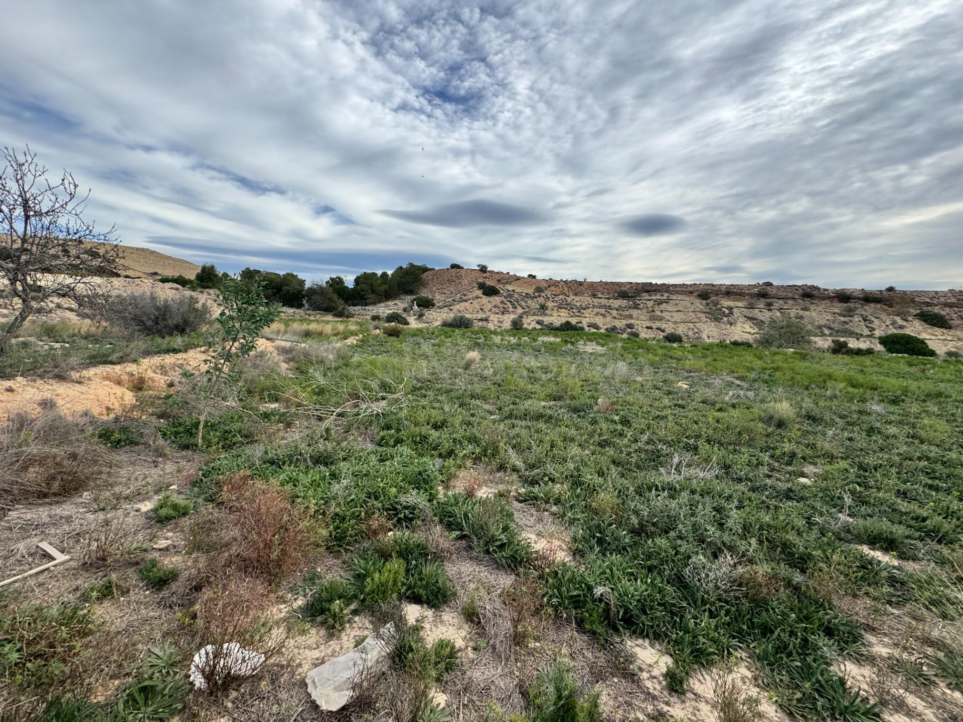 FINCA RUSTICA DE 23000M2 DONDE SE PUEDE EDIFICAR UNA CASA DE - foto 3
