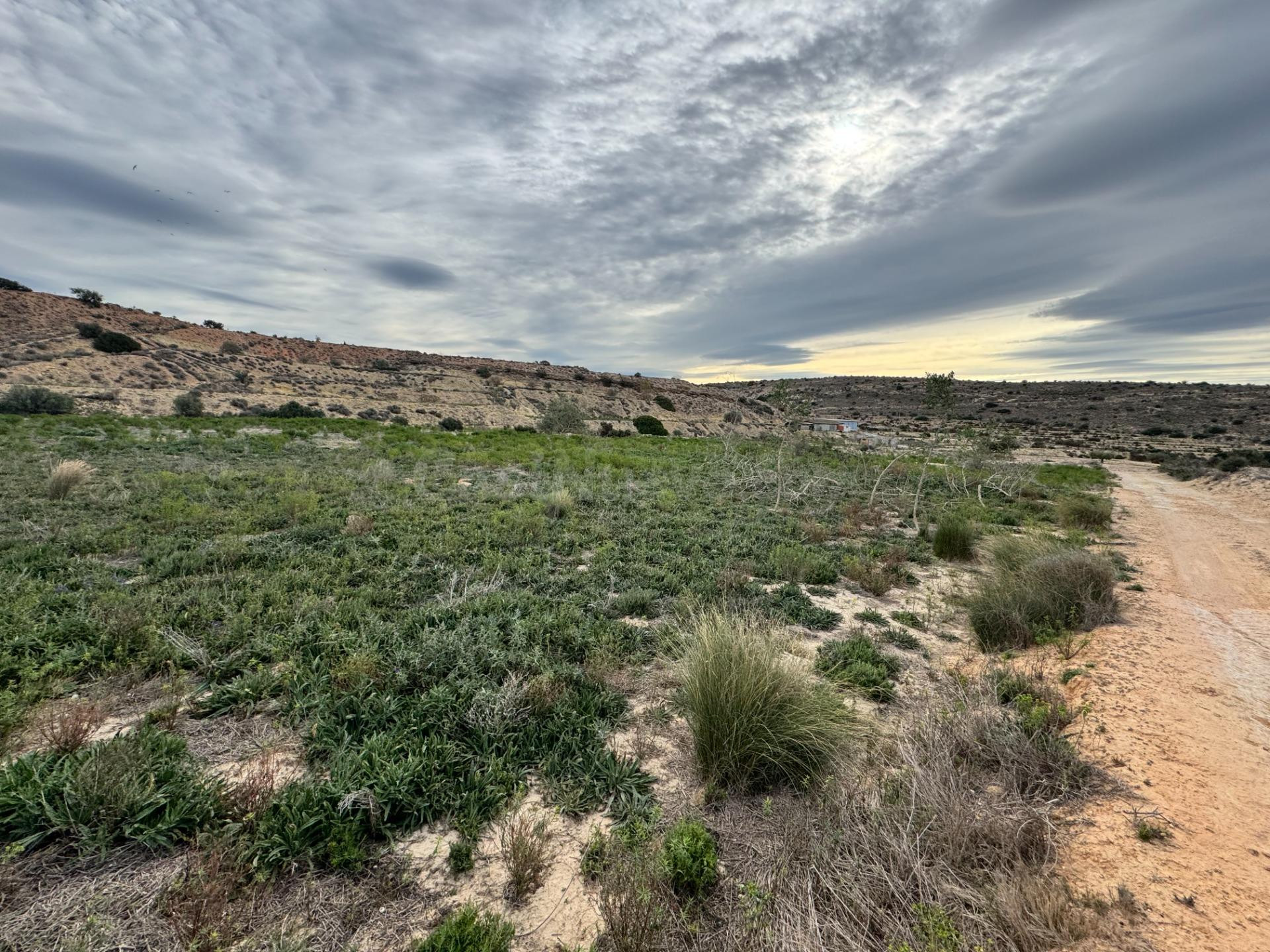 FINCA RUSTICA DE 23000M2 DONDE SE PUEDE EDIFICAR UNA CASA DE - foto 4