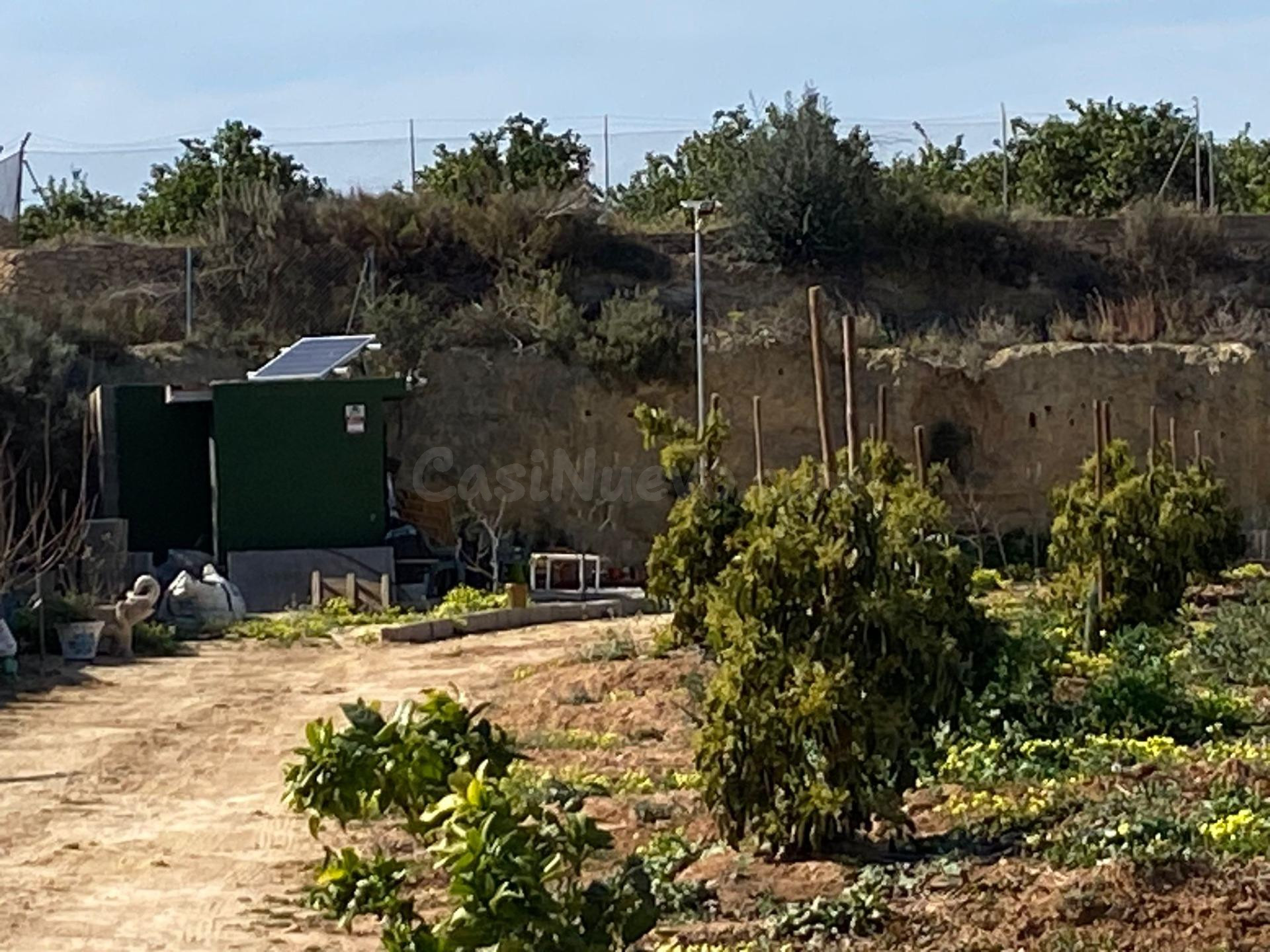 VENTA DE FINCA CON EXPLOTACIÓN DE AGUACATES - foto 2