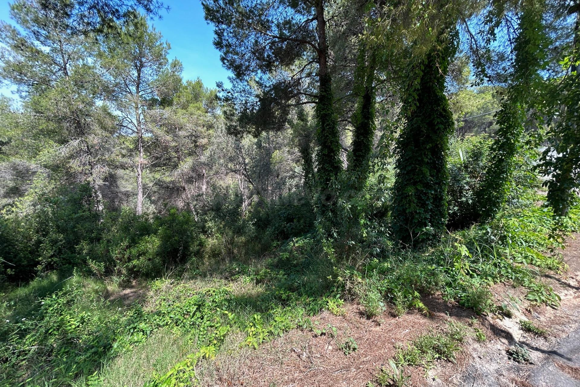 PARCELA EN VENTA EN EL VEDAT - foto 2