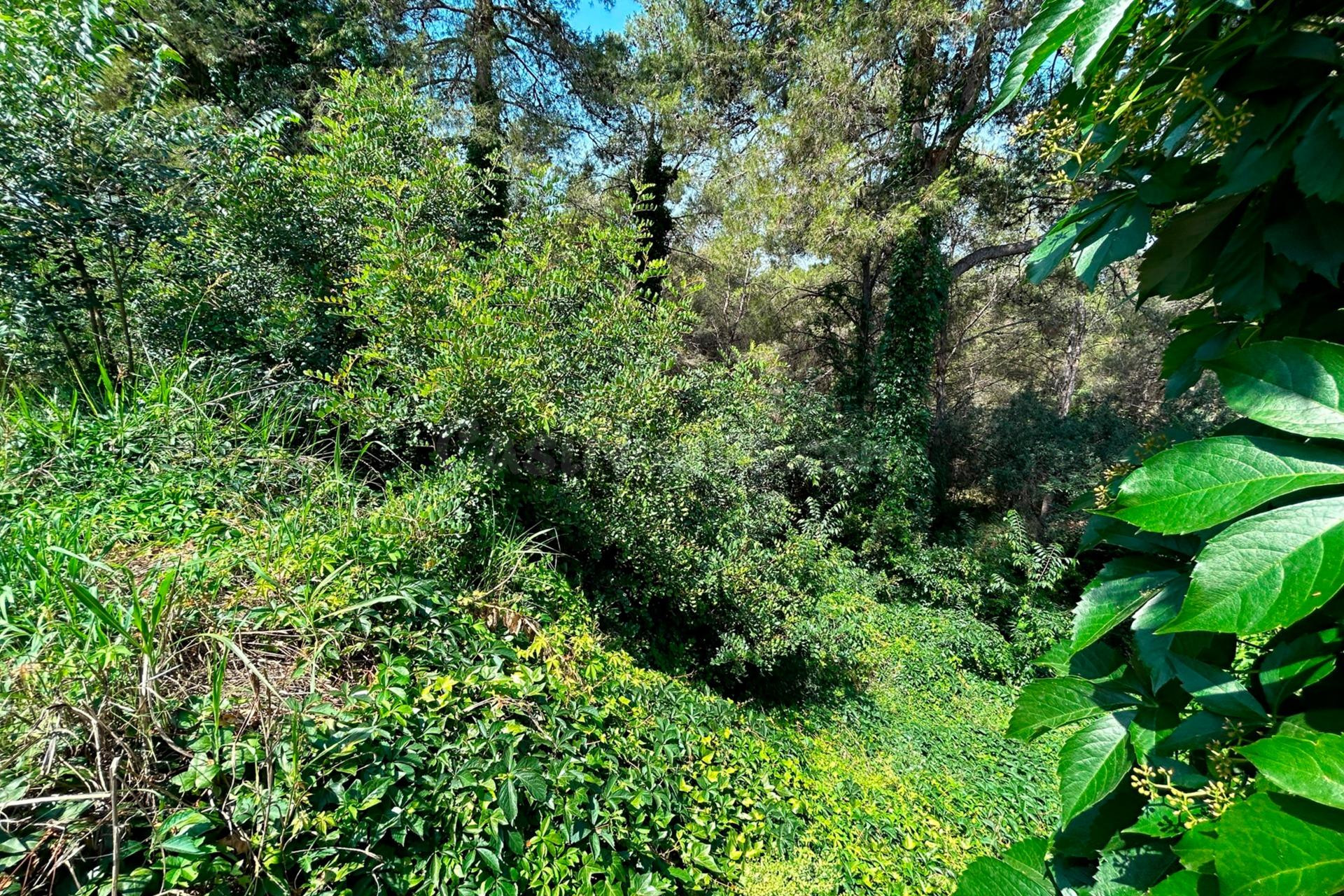 PARCELA EN VENTA EN EL VEDAT - foto 5