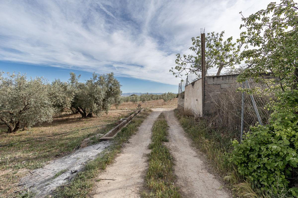 MAGNÍFICA PARCELA CERCANA A CTRA. DE URB. EL TORREÓN - foto 2