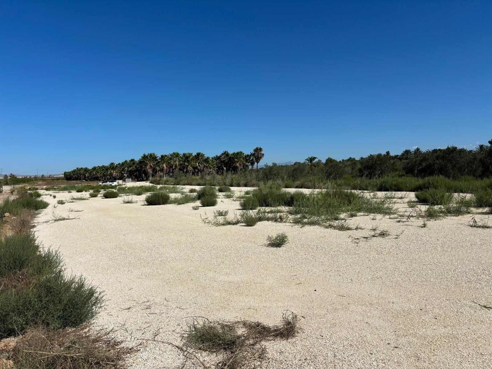 Magnifico Terreno de 8.000 metros cerca de la Hoya