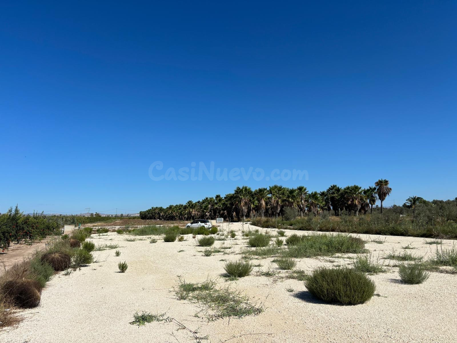 Magnifico Terreno de 8.000 metros cerca de la Hoya - foto 2