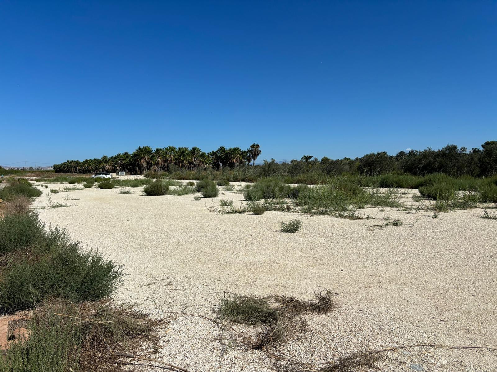 Magnifico Terreno de 8.000 metros cerca de la Hoya - foto 3