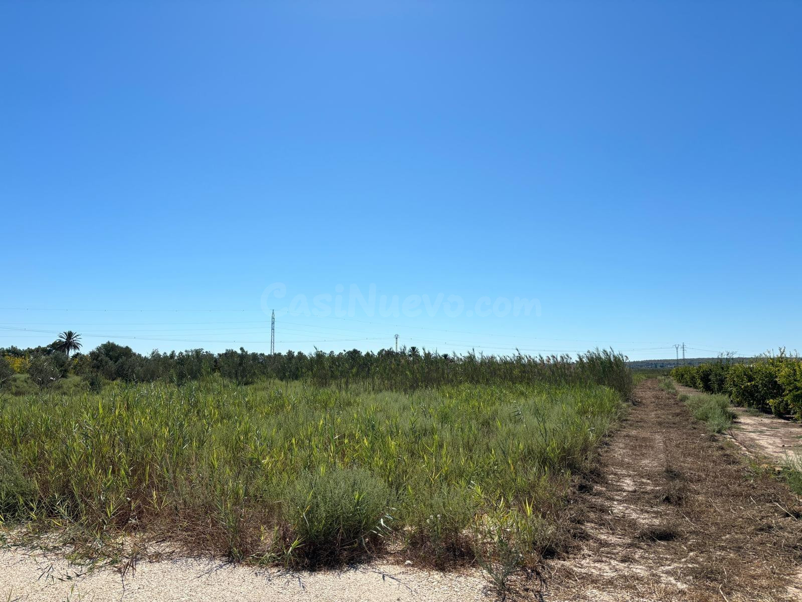 Magnifico Terreno de 8.000 metros cerca de la Hoya - foto 4