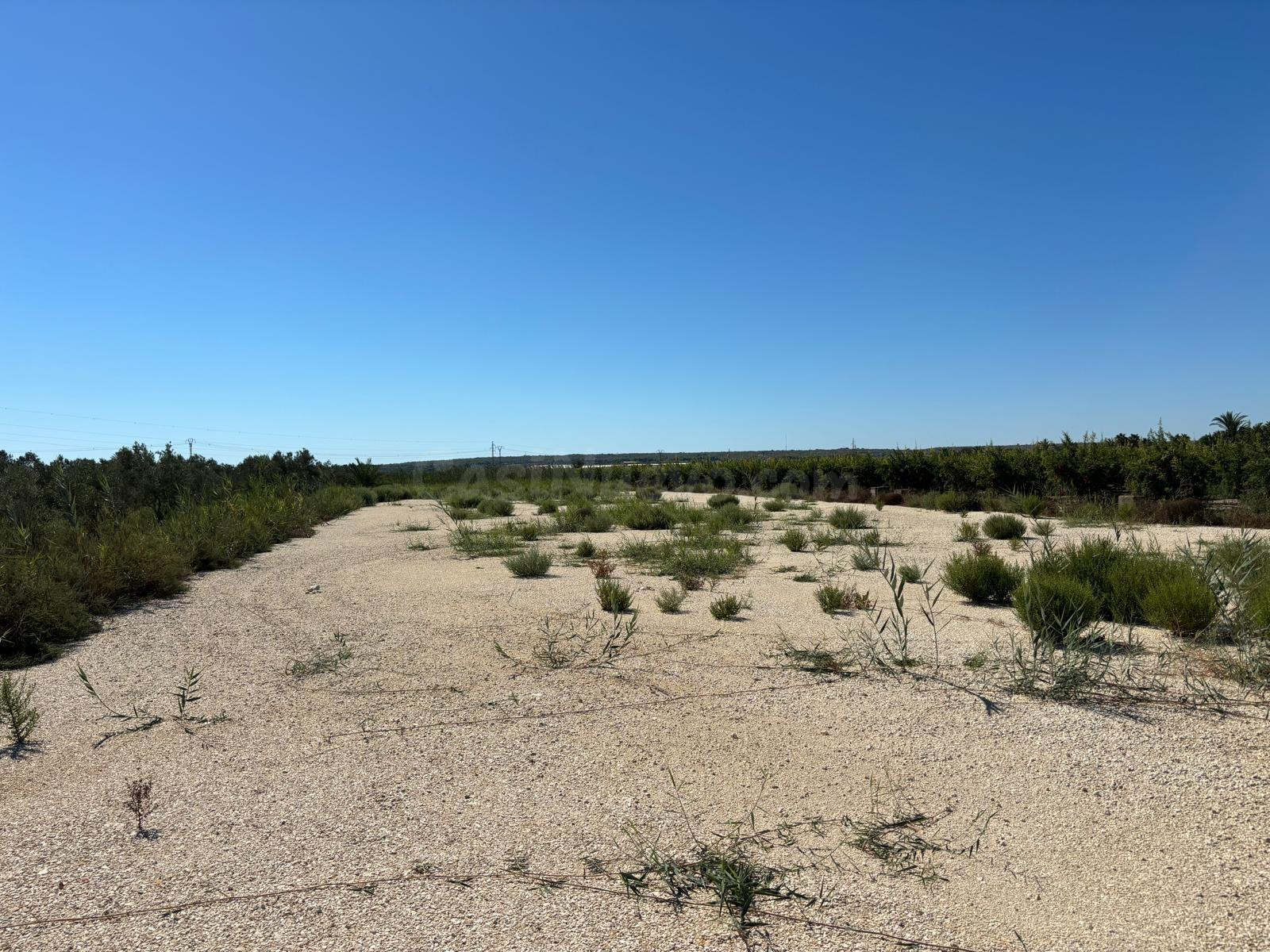 Magnifico Terreno de 8.000 metros cerca de la Hoya - foto 5