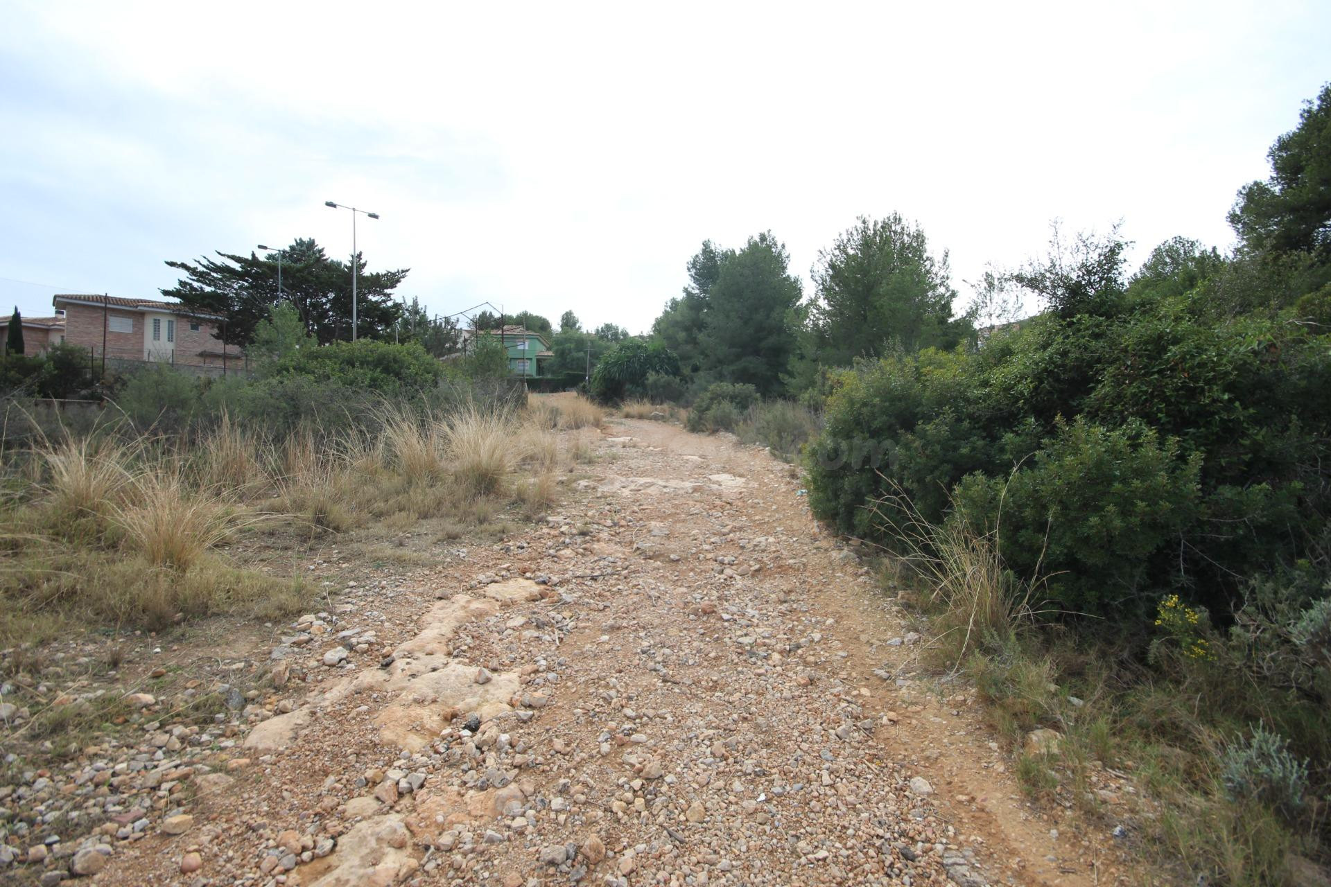 PARCELA RUSTICA EN CHIVA - foto 4