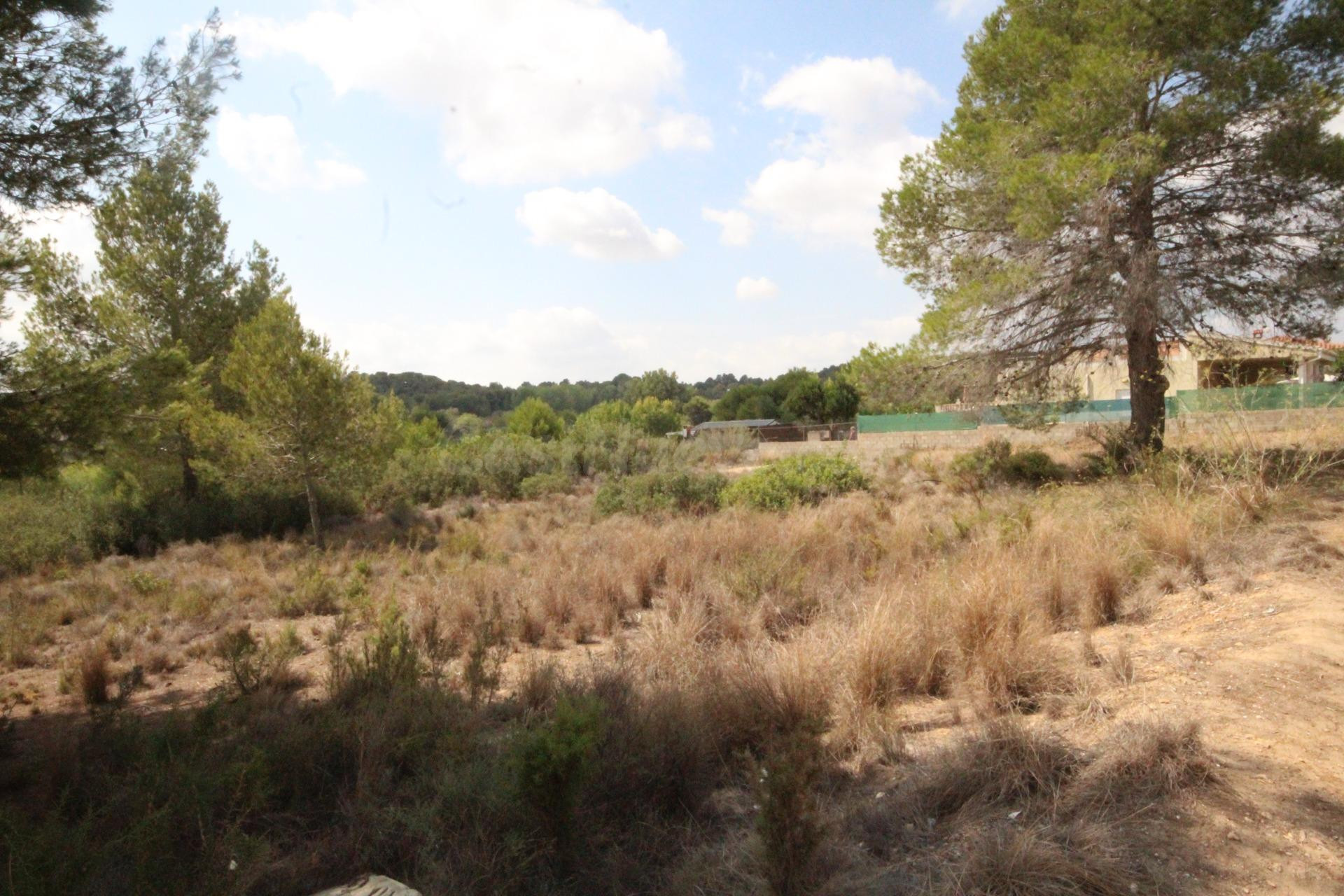 SUELO RÚSTICO EN VENTA (MASIA PAVIA TORRENT) - foto 2