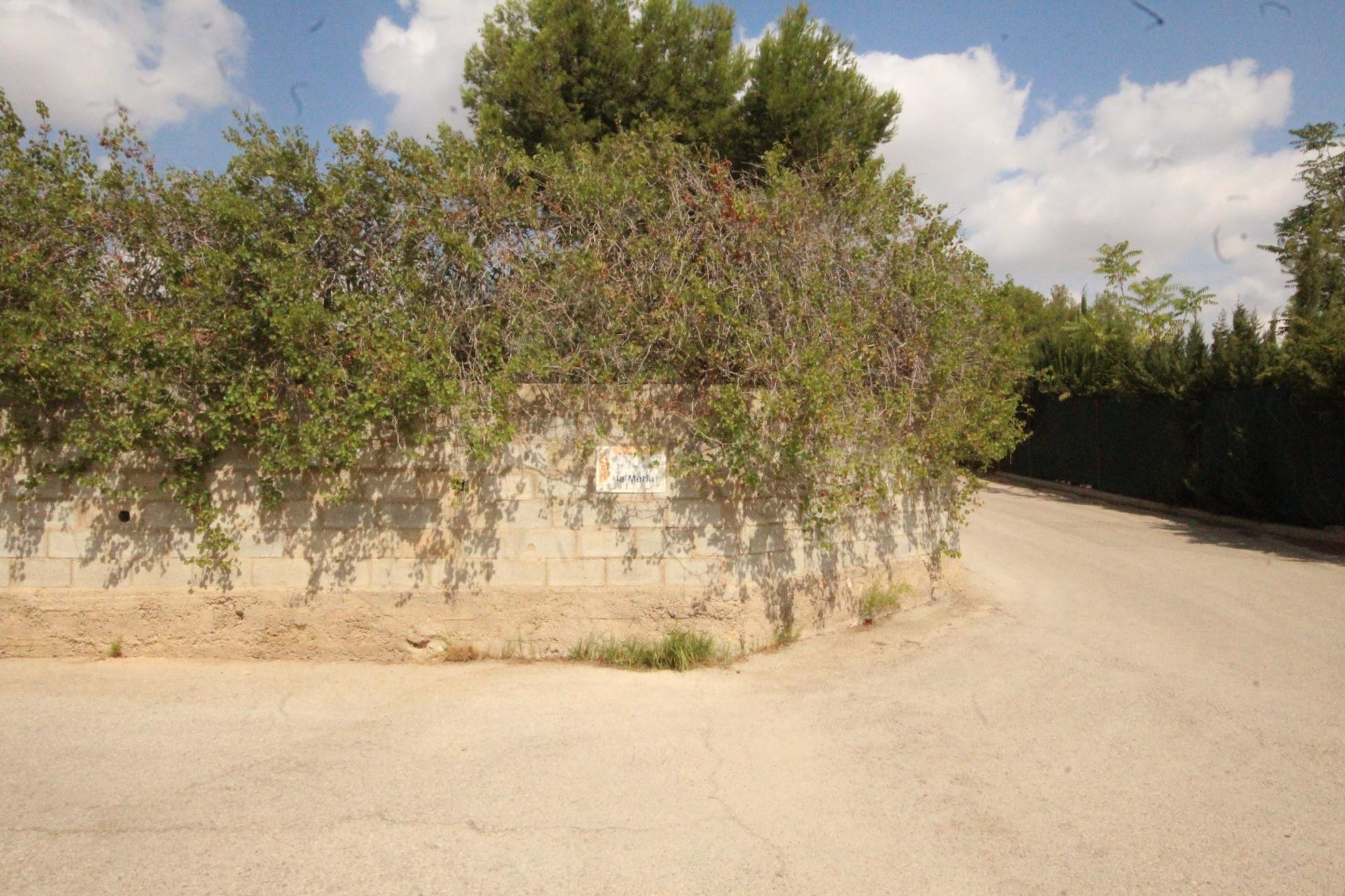SUELO RÚSTICO EN VENTA (MASIA PAVIA TORRENT) - foto 4
