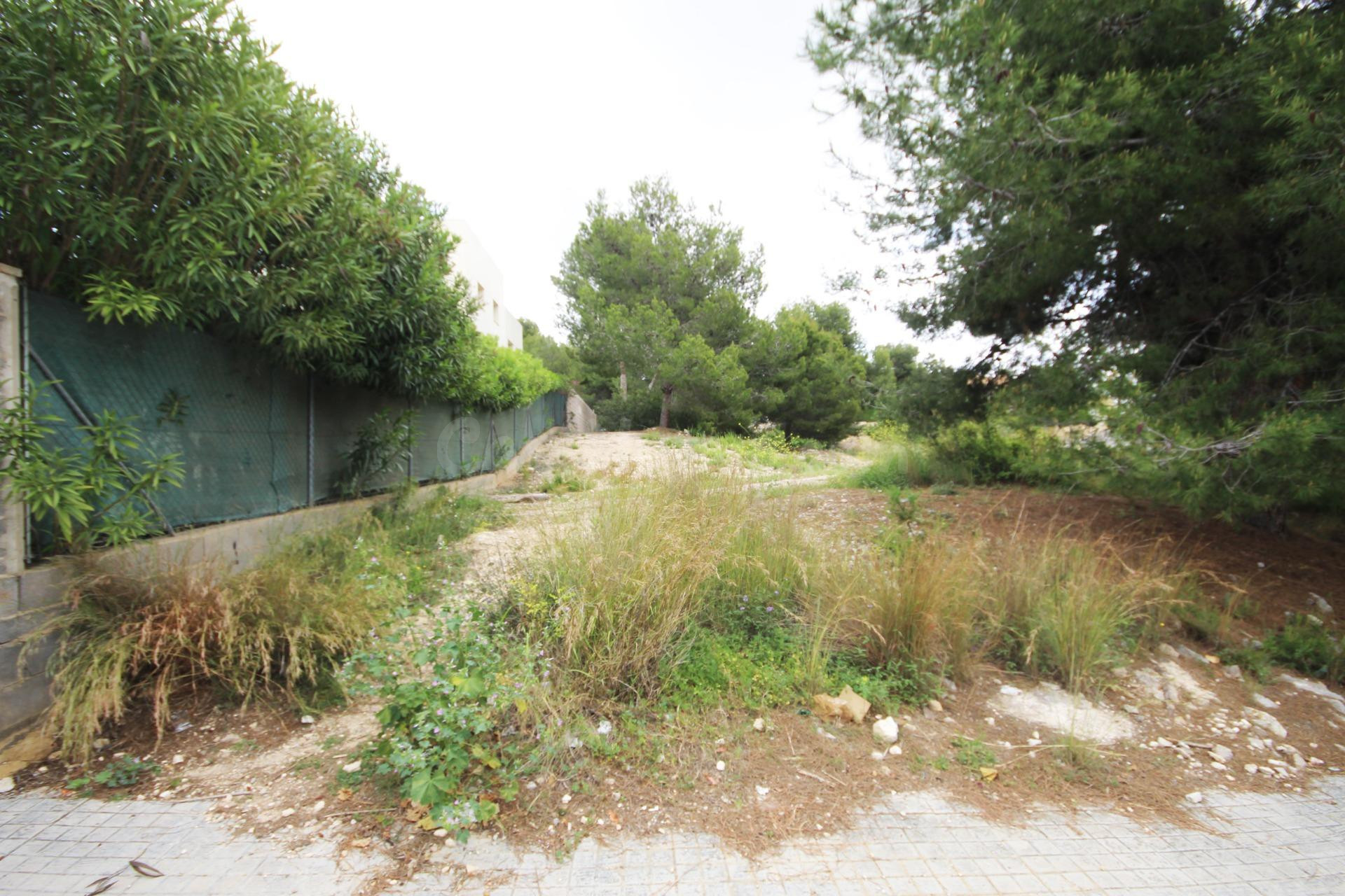 PARCELA EN VENTA EN EL VEDAT - foto 2