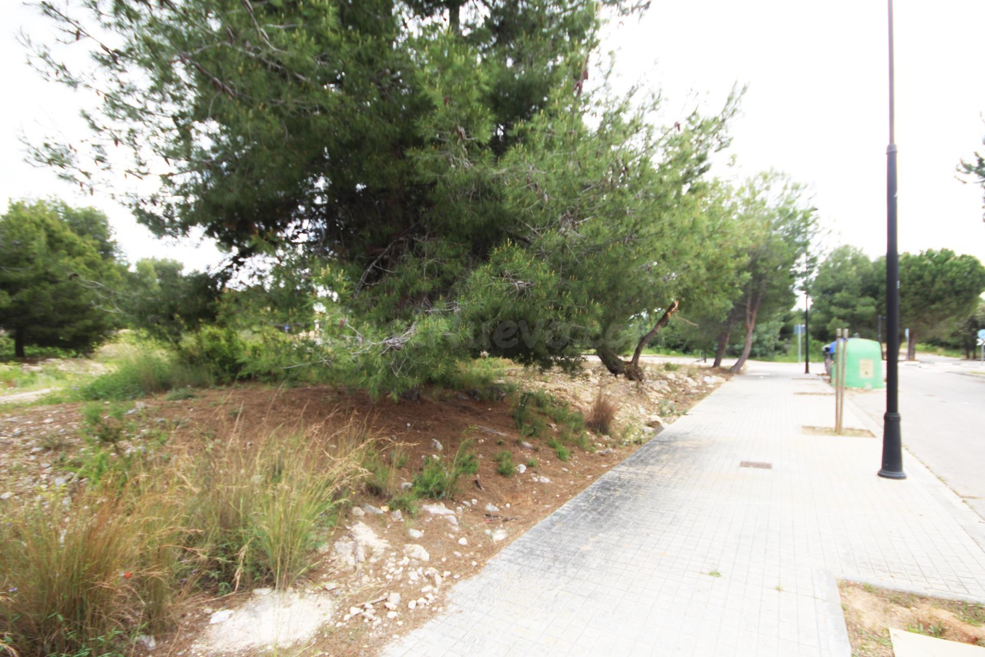 PARCELA EN VENTA EN EL VEDAT - foto 4