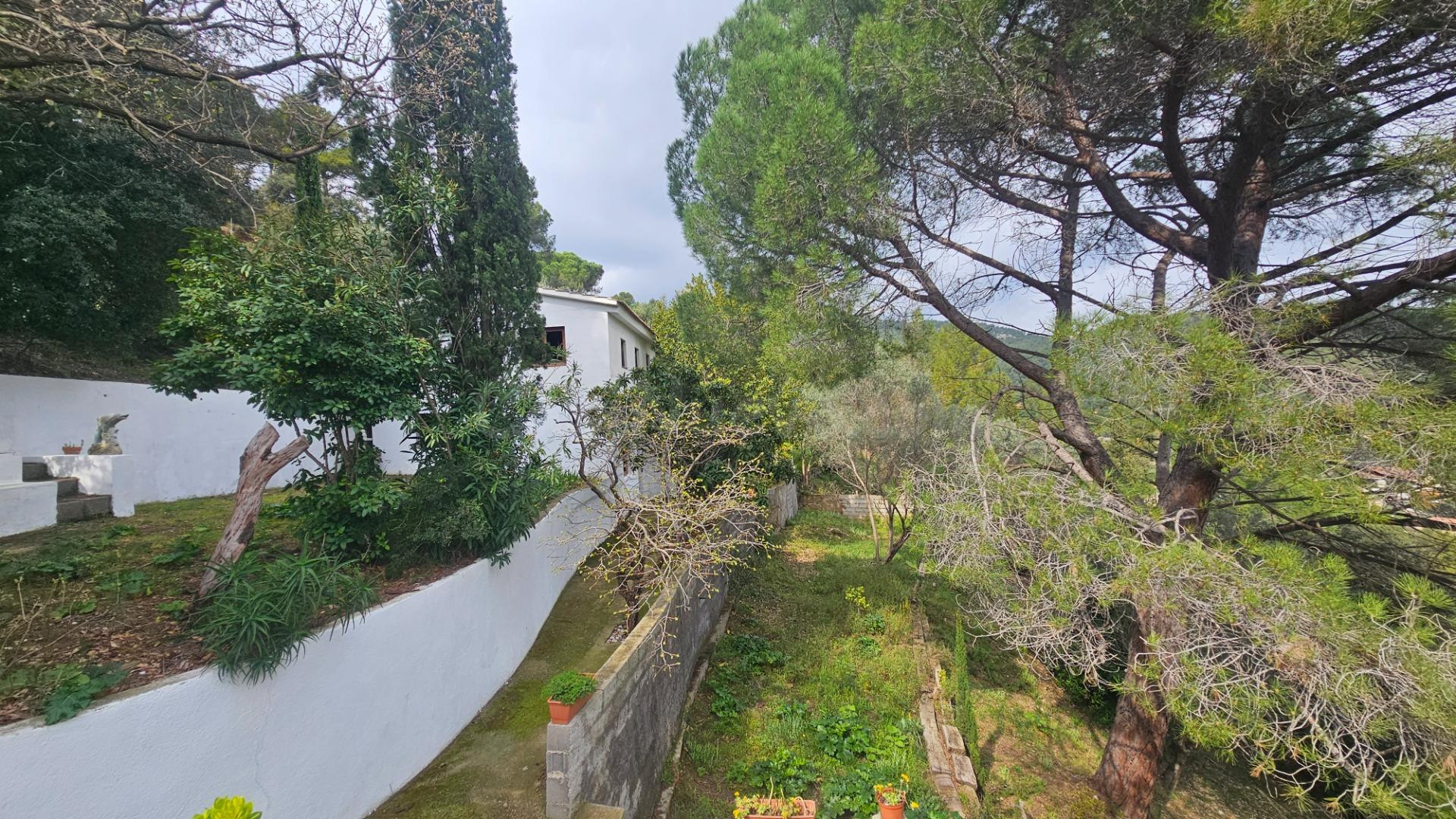 Parcela de 1.000 m2 con vivienda para acabar - foto 3