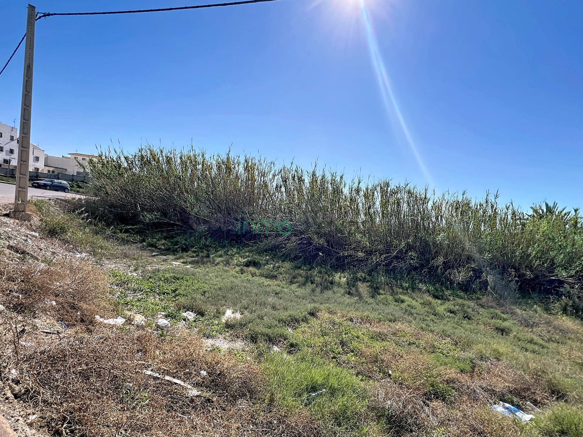 Amplio Terreno Urbano en el Centro de Cuevas del Almanzora - foto 4