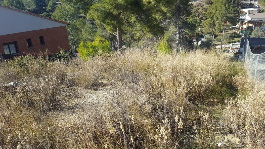 GRAN OPORTUNIDAD!TERRENO EN VENTA DE 649M2 EN MAS PLANOI DE  - foto 5