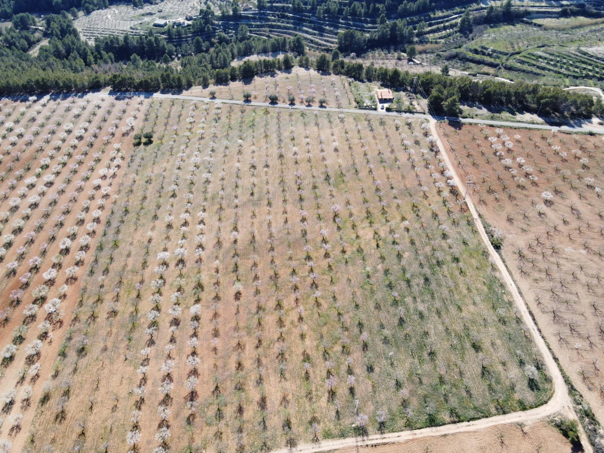 Encanto rústico en plena naturaleza – Casa con 58.000 m2 de  - foto 2