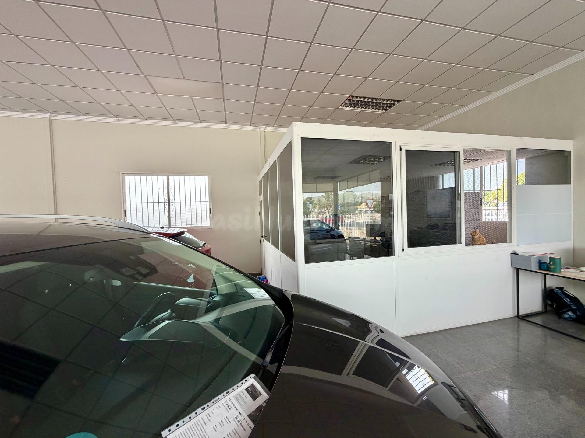 NAVE EN PRIMERA LINEA DE CARRETERA DE CREVILLENTE, CON CAMPA - foto 5