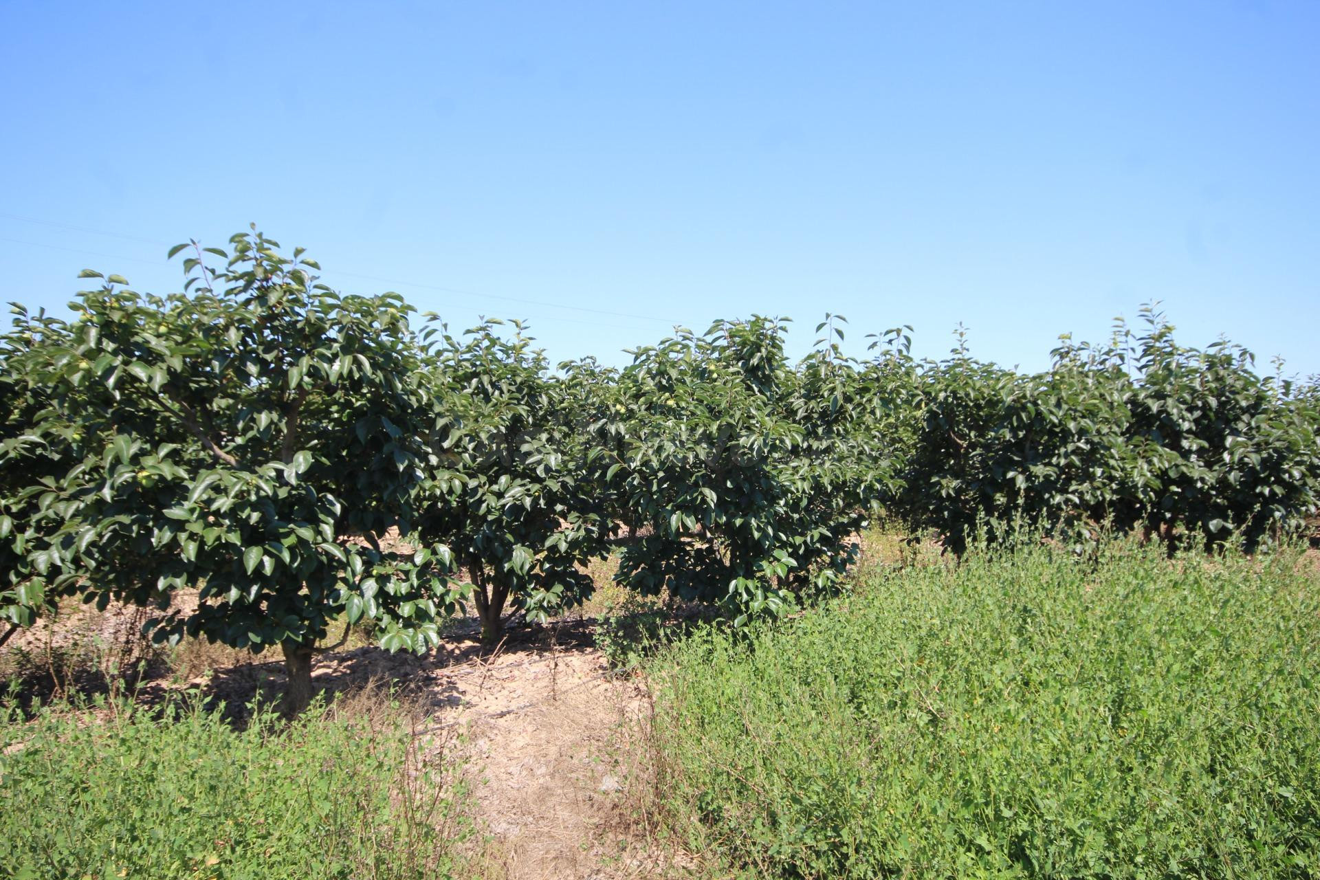 MAGNÍFICA FINCA RÚSTICA DE MÁS DE 40.900 M2 CON EXPLOTACIÓN  - foto 2